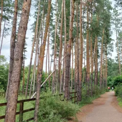 Buzuluk Central Park - Buzuluk