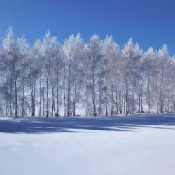 Buzuluk Central Park - Buzuluk