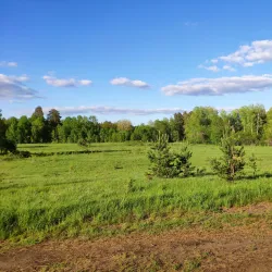 Buzuluk Central Park - Buzuluk