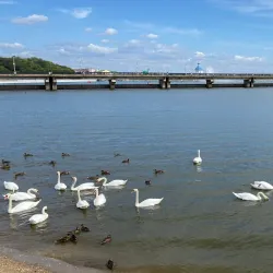 Cheboksary Bay and Embankment - Cheboksary