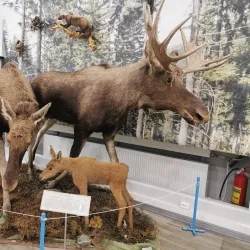 Museum of Local Lore - Cheboksary