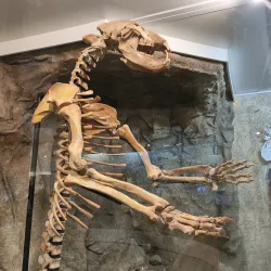 Chelyabinsk Regional Museum - Chelyabinsk