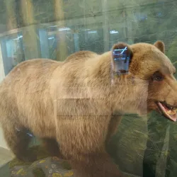 Chelyabinsk Regional Museum - Chelyabinsk