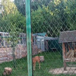 Chelyabinsk Zoo - Chelyabinsk