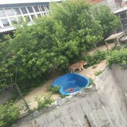 Chelyabinsk Zoo - Chelyabinsk