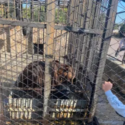 Chelyabinsk Zoo - Chelyabinsk