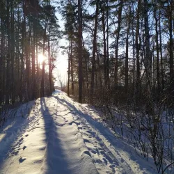 Victory Park - Chelyabinsk