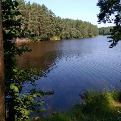 Sheksna River Embankment - Cherepovets