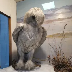 Chita Regional Museum - Chita