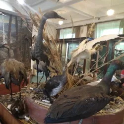 Trans-Baikal Railway Museum - Chita