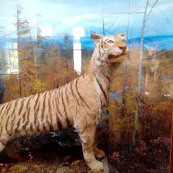 Trans-Baikal Railway Museum - Chita