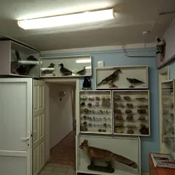 Chusovoy Local History Museum - Chusovoy