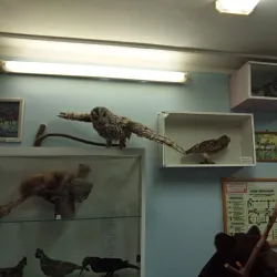 Chusovoy Local History Museum - Chusovoy