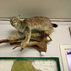 Chusovoy Local History Museum - Chusovoy