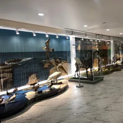 Museum of History, Culture and Antiquities of Dagestan - Derbent