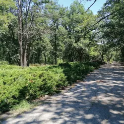 Botanical Garden of Dimitrovgrad - Dimitrovgrad