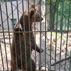 Botanical Garden of Dimitrovgrad - Dimitrovgrad