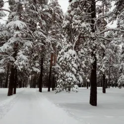 Central Park of Culture and Leisure - Dimitrovgrad