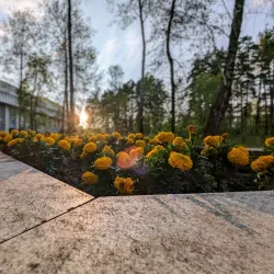 Cultural Center 'Rodina' - Dimitrovgrad