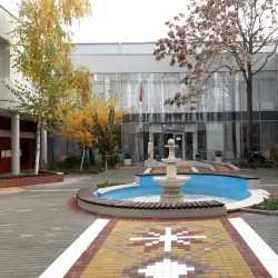 Dimitrovgrad History Museum - Dimitrovgrad