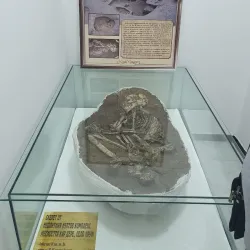 Dimitrovgrad History Museum - Dimitrovgrad