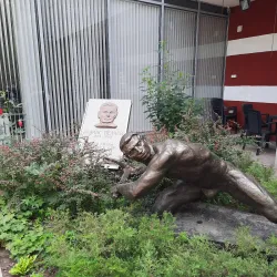 Dimitrovgrad History Museum - Dimitrovgrad