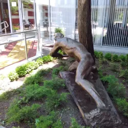 Dimitrovgrad History Museum - Dimitrovgrad