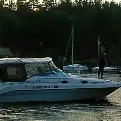 Institute of Nuclear Physics and Engineering - Dimitrovgrad