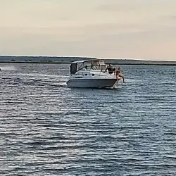 Institute of Nuclear Physics and Engineering - Dimitrovgrad