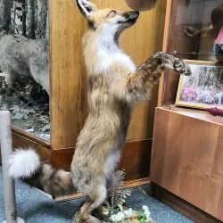 Museum of Science and Technology - Dimitrovgrad