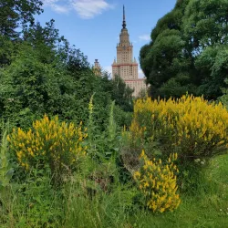 Botanical Garden of Moscow State University (nearby) - Dolgoprudny