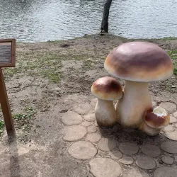 Zelenogradsky Forest Park (nearby) - Dolgoprudny