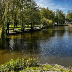 Zelenogradsky Forest Park (nearby) - Dolgoprudny
