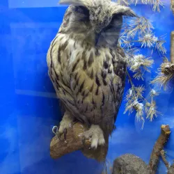 Dzerzhinsk Local History Museum - Dzerzhinsk