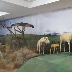 National Museum of Kalmykia - Elista