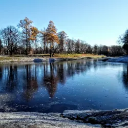 Big Gatchina Pond - Gatchina