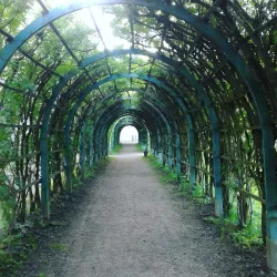 Big Gatchina Pond - Gatchina