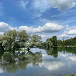 Gatchina Palace - Gatchina