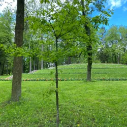 Gatchina Palace - Gatchina