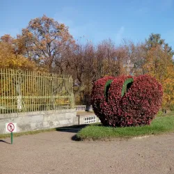 Gatchina Palace - Gatchina