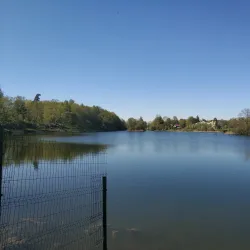 Gatchina Park - Gatchina