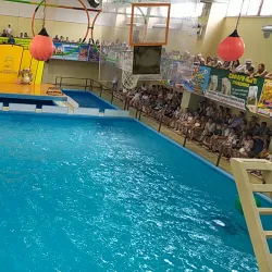 Gelendzhik Dolphinarium - Gelendzhik