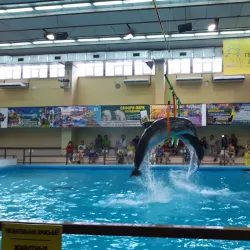 Gelendzhik Dolphinarium - Gelendzhik