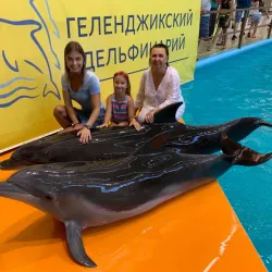 Gelendzhik Dolphinarium - Gelendzhik