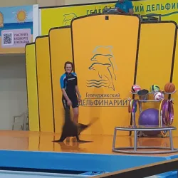 Gelendzhik Dolphinarium - Gelendzhik