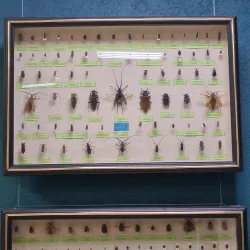 Gelendzhik Historical Museum - Gelendzhik