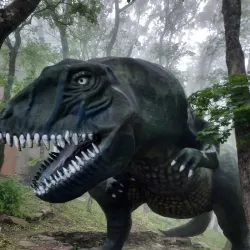 Paragliding over Gelendzhik - Gelendzhik