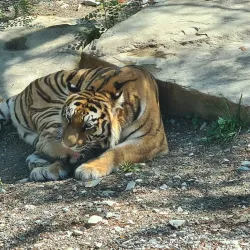 Safari Park Gelendzhik - Gelendzhik