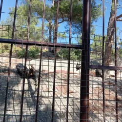 Safari Park Gelendzhik - Gelendzhik