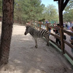 Safari Park Gelendzhik - Gelendzhik